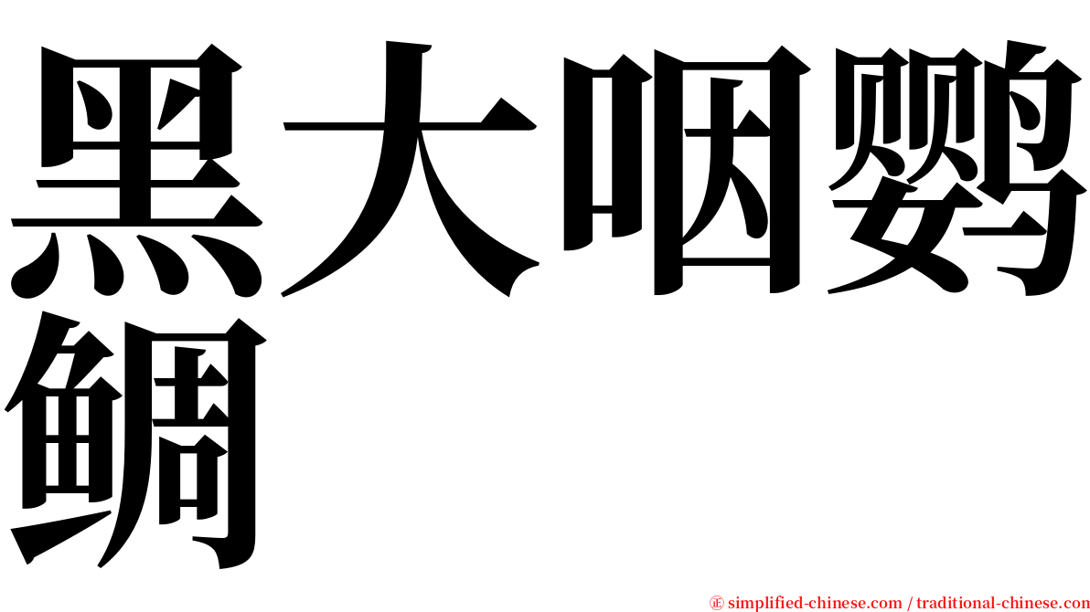 黑大咽鹦鲷 serif font