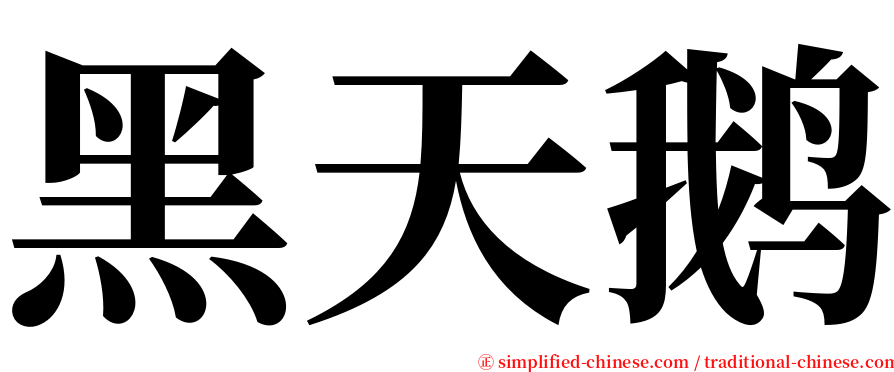 黑天鹅 serif font