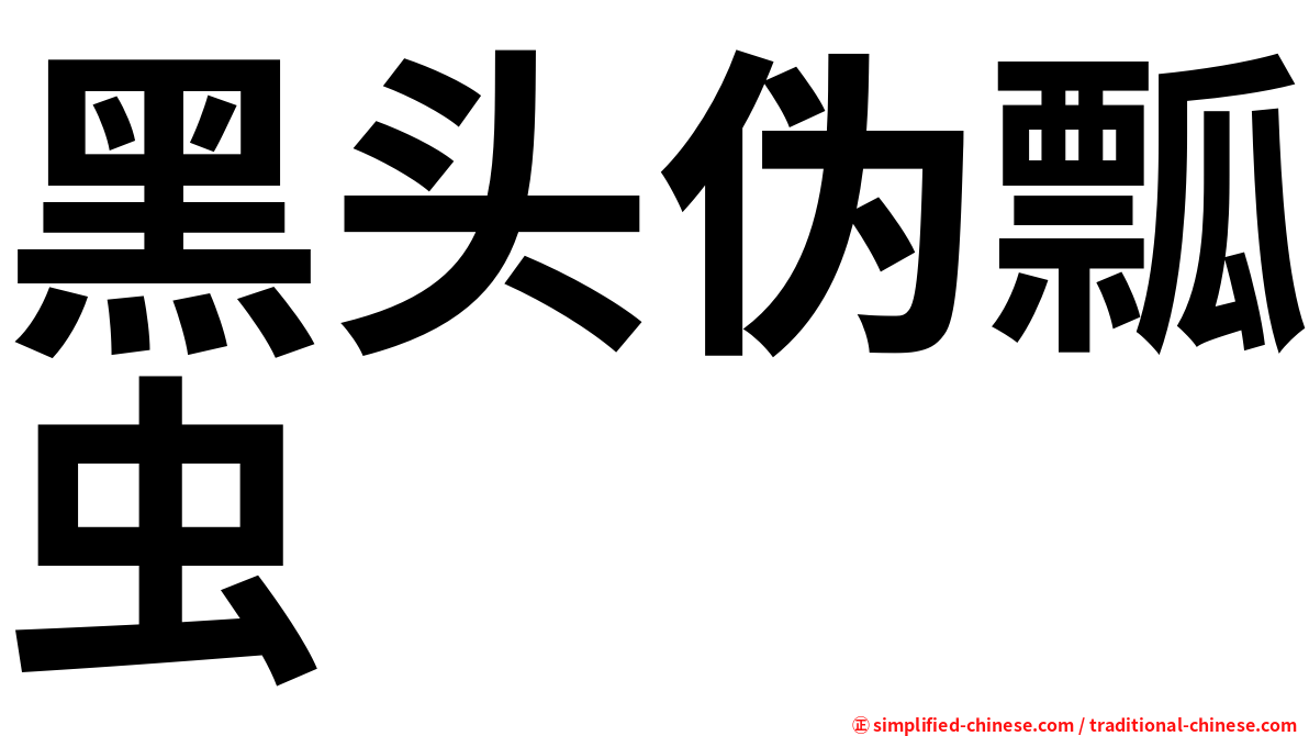 黑头伪瓢虫