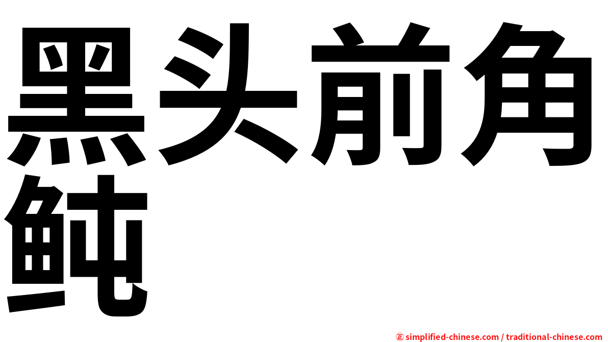 黑头前角鲀