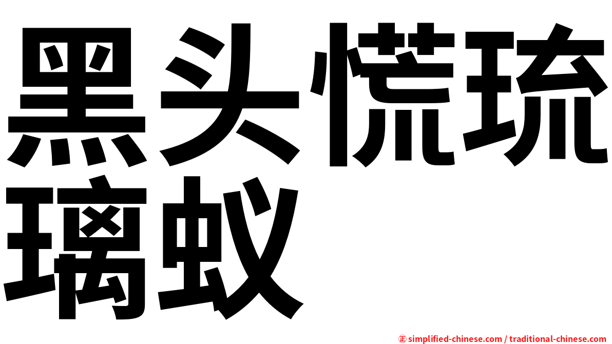 黑头慌琉璃蚁