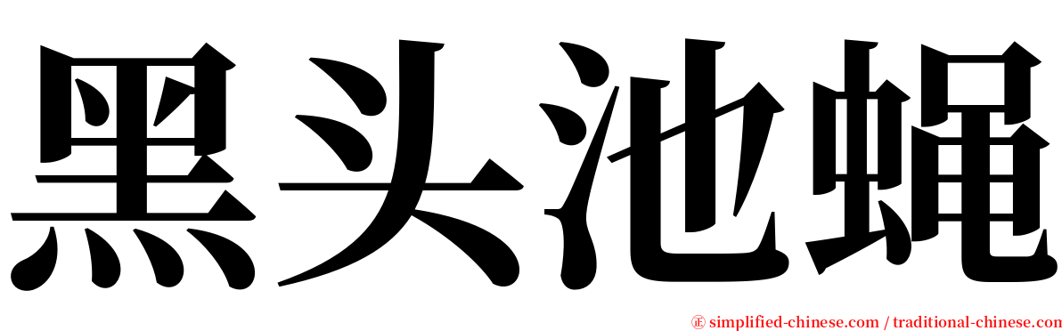 黑头池蝇 serif font