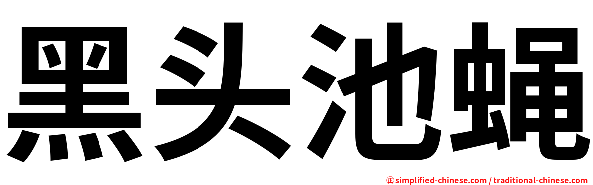 黑头池蝇