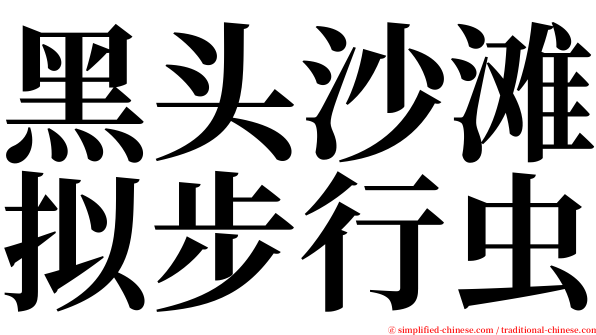 黑头沙滩拟步行虫 serif font