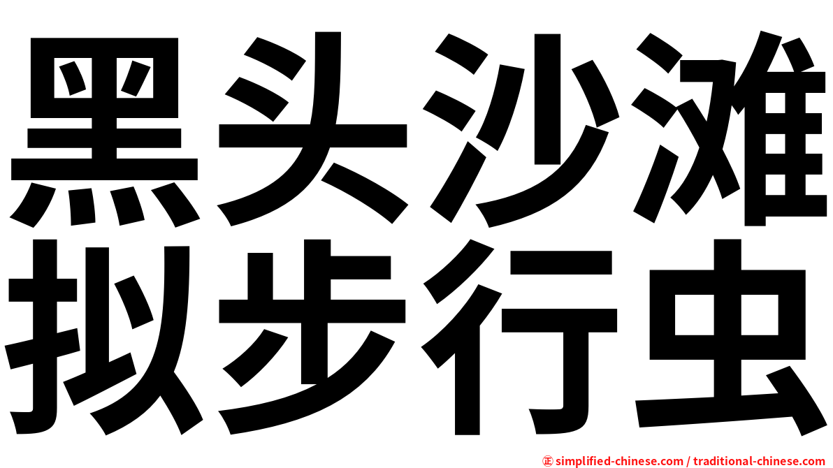 黑头沙滩拟步行虫