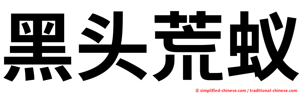 黑头荒蚁