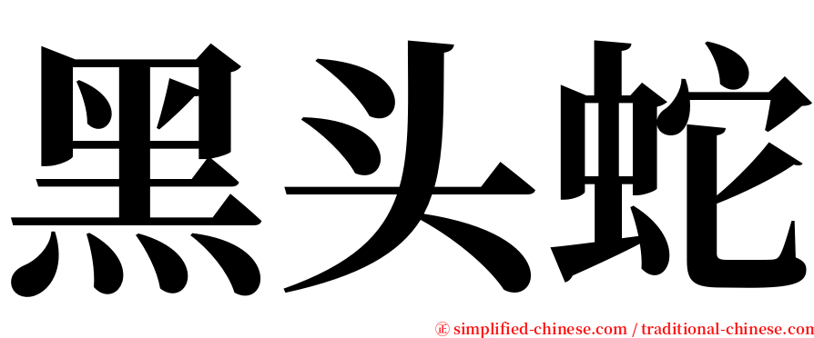 黑头蛇 serif font