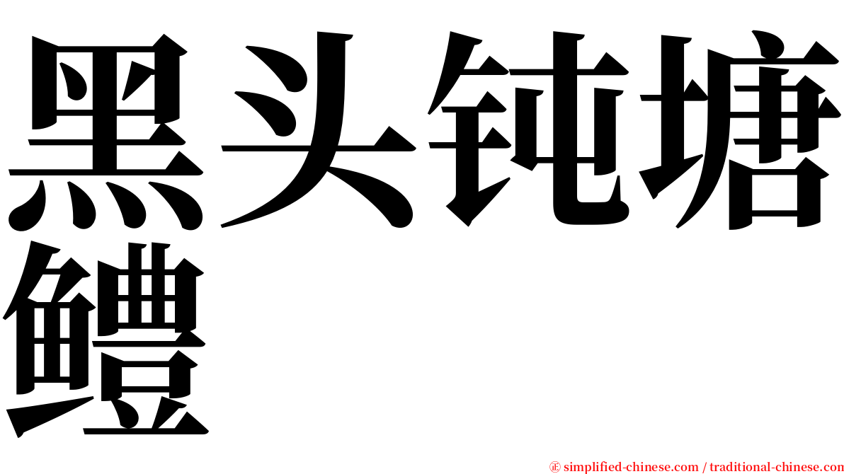 黑头钝塘鳢 serif font