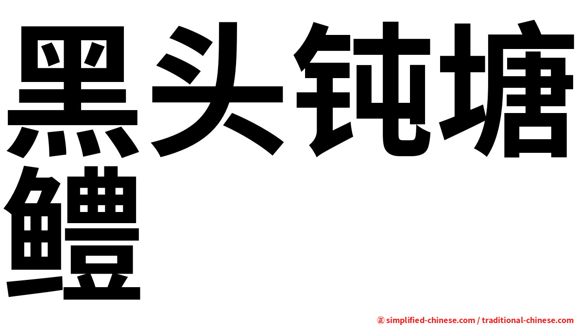 黑头钝塘鳢