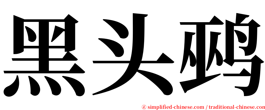 黑头鹀 serif font