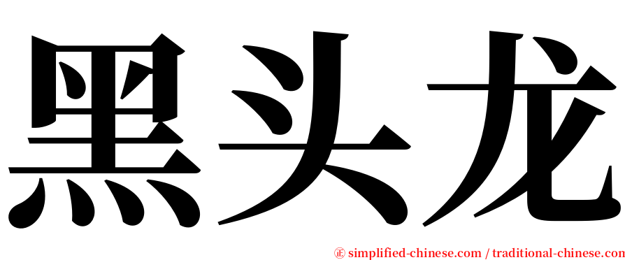 黑头龙 serif font