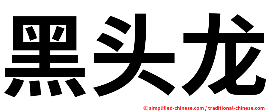 黑头龙