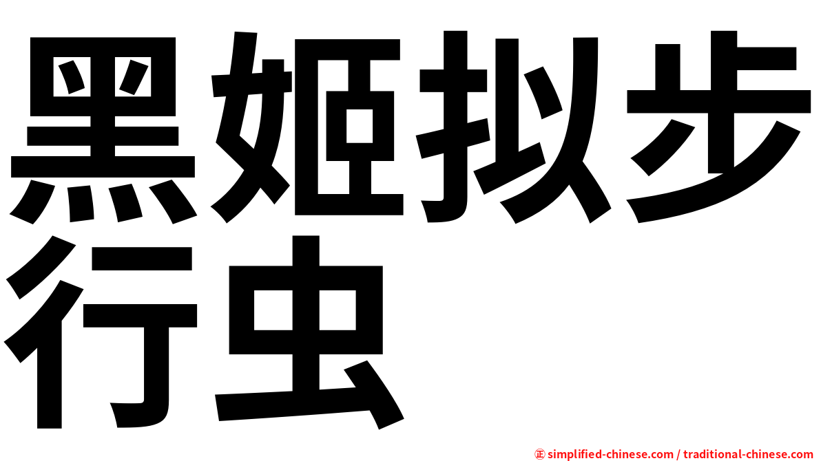 黑姬拟步行虫