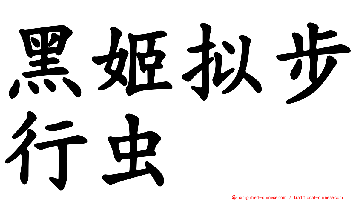 黑姬拟步行虫