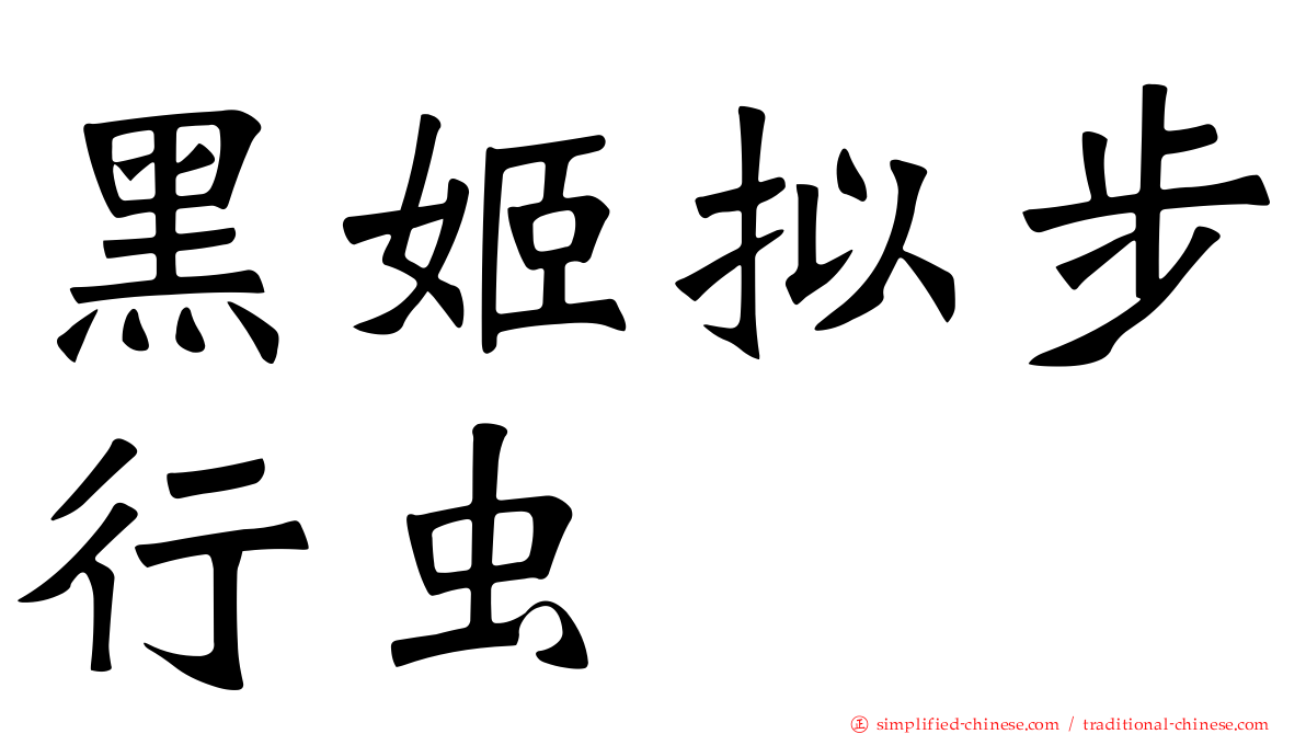 黑姬拟步行虫