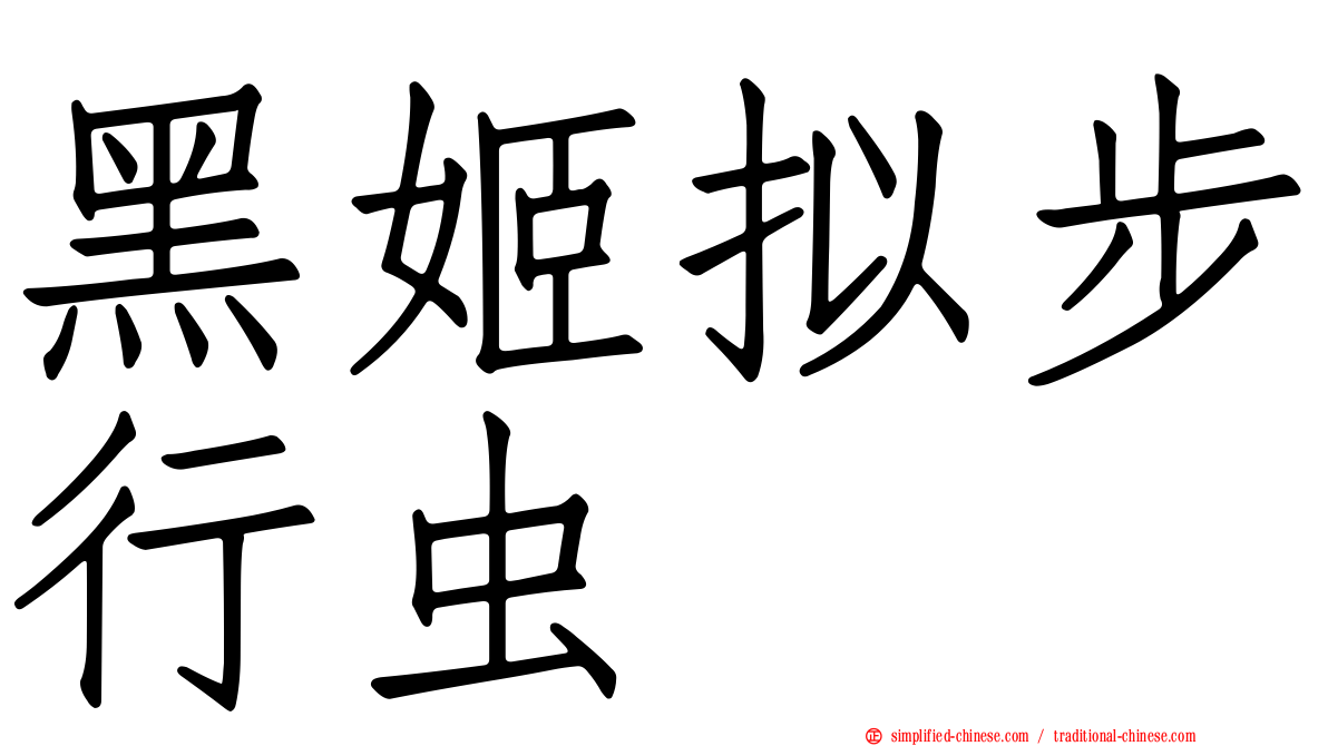 黑姬拟步行虫