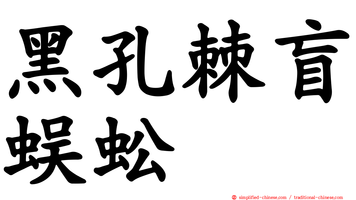 黑孔棘盲蜈蚣