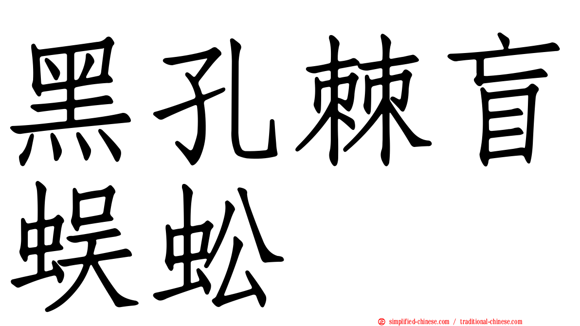 黑孔棘盲蜈蚣