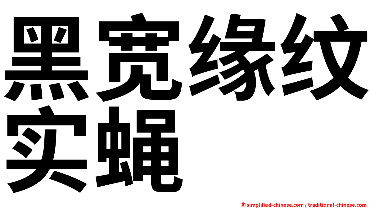 黑宽缘纹实蝇