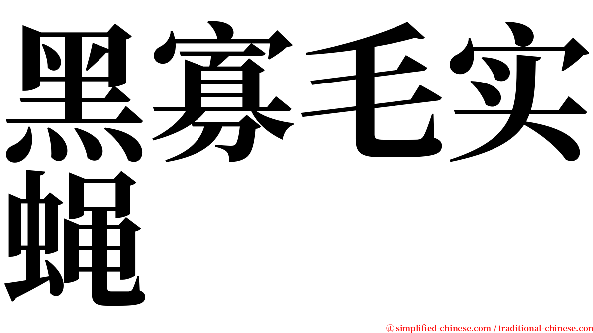 黑寡毛实蝇 serif font