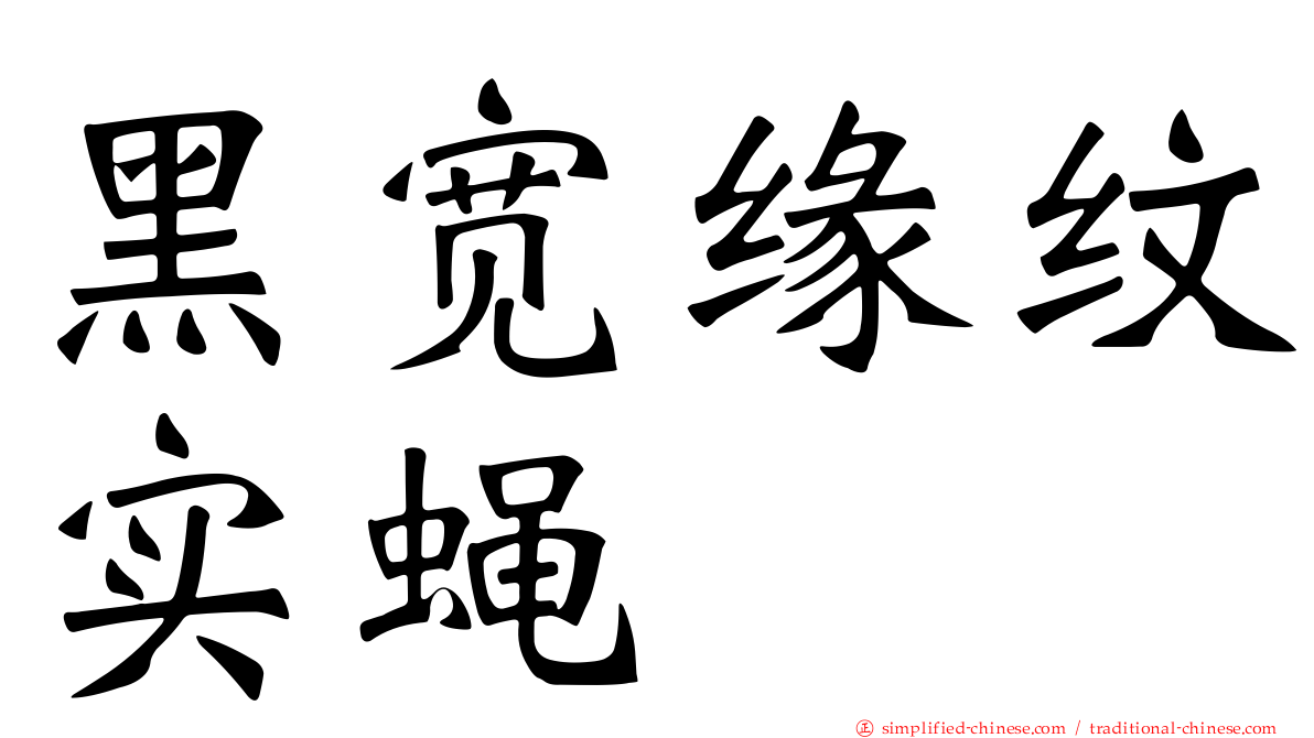 黑宽缘纹实蝇