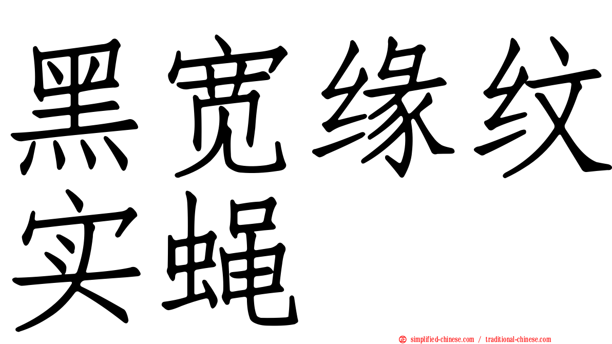 黑宽缘纹实蝇