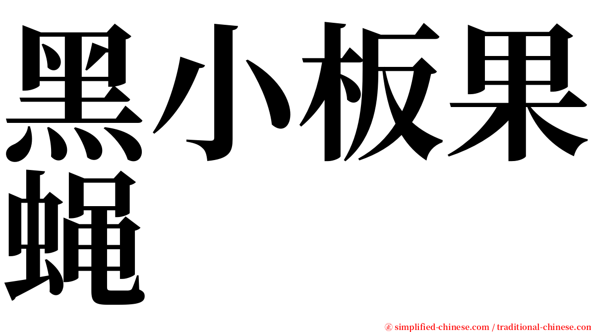 黑小板果蝇 serif font