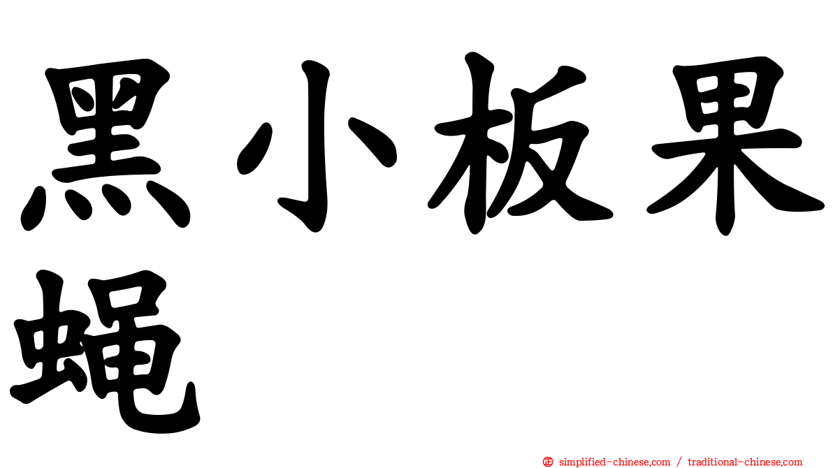 黑小板果蝇