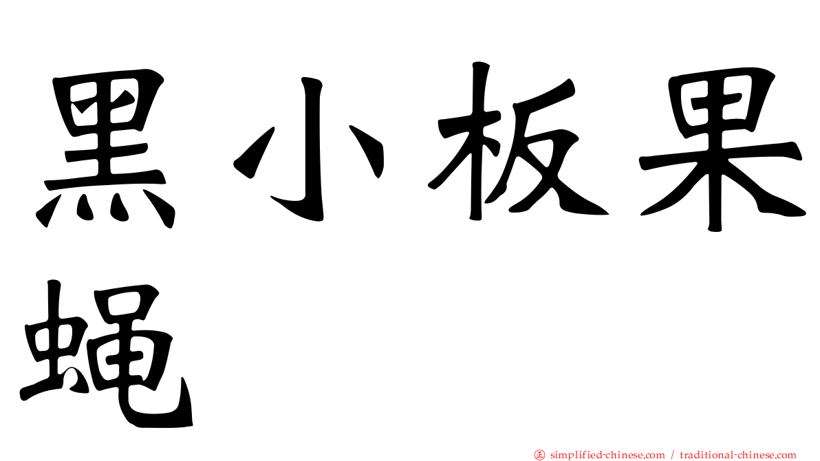 黑小板果蝇