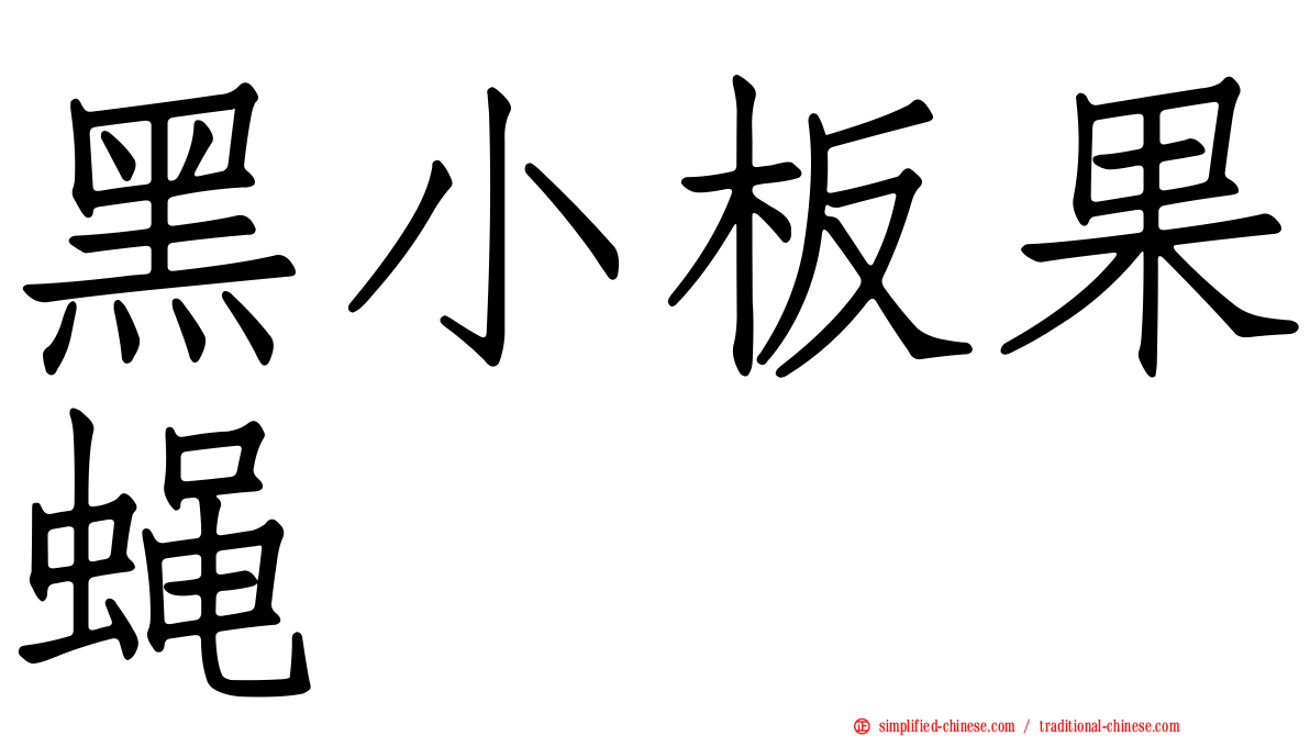 黑小板果蝇