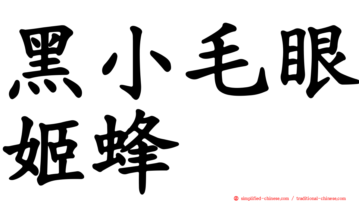 黑小毛眼姬蜂