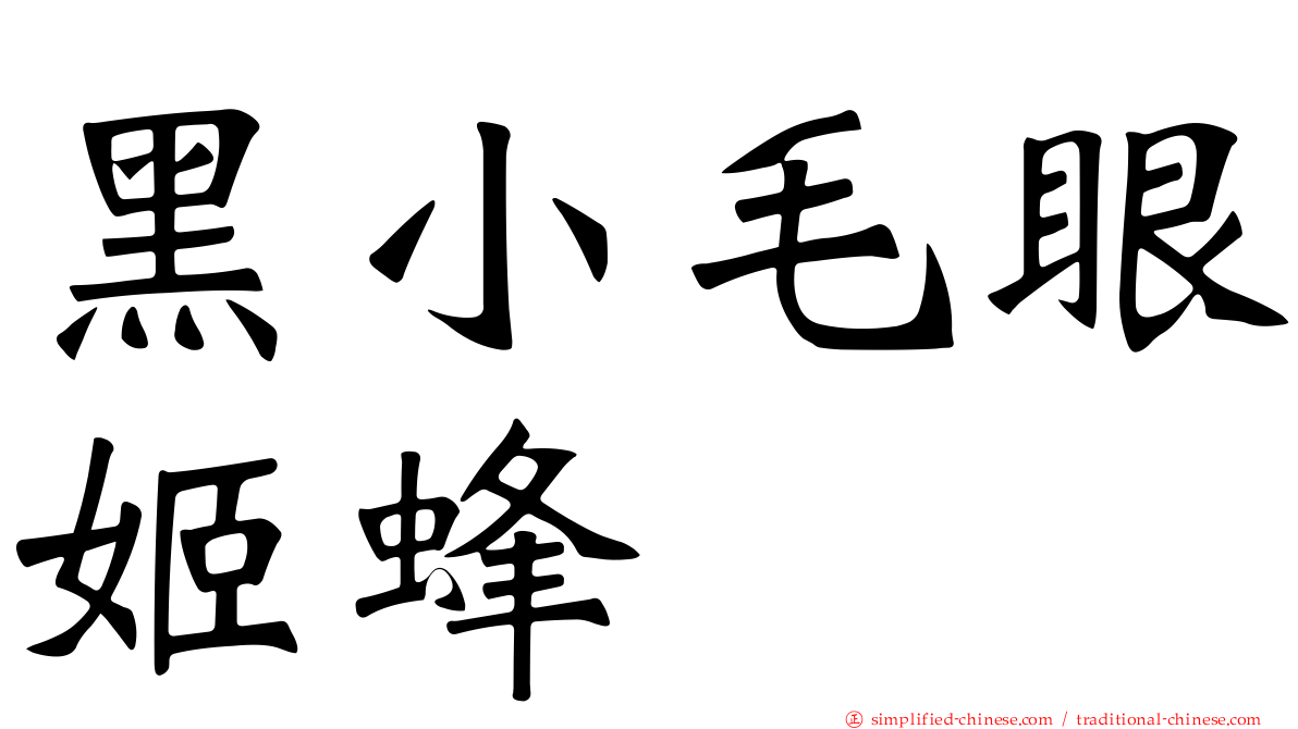 黑小毛眼姬蜂