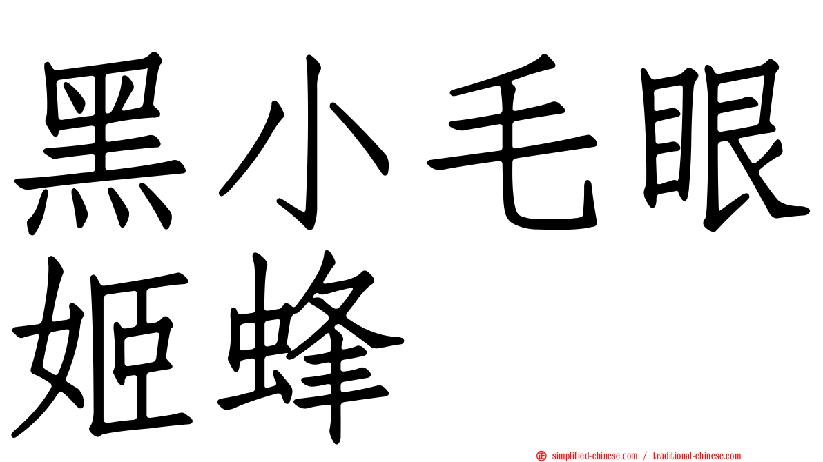 黑小毛眼姬蜂