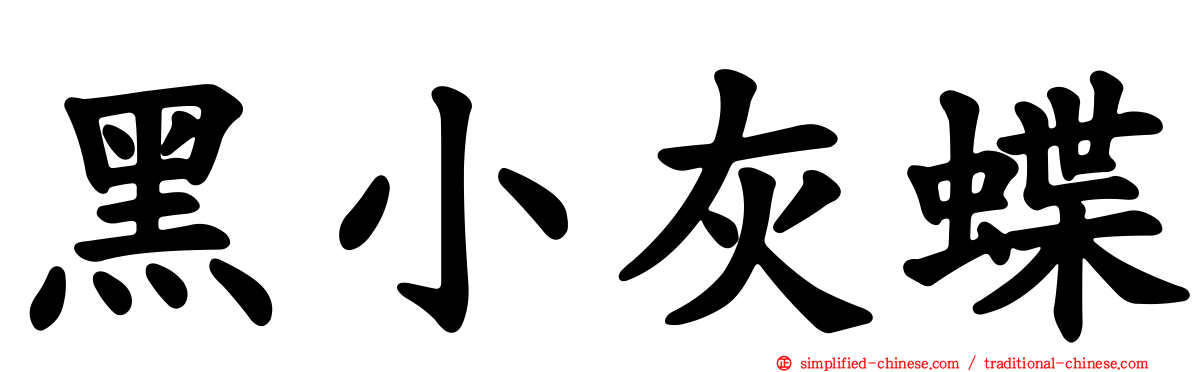 黑小灰蝶