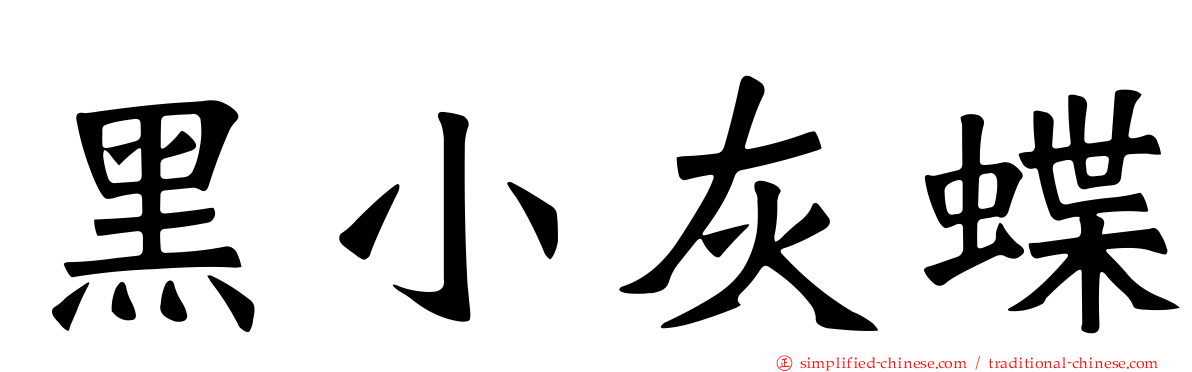 黑小灰蝶