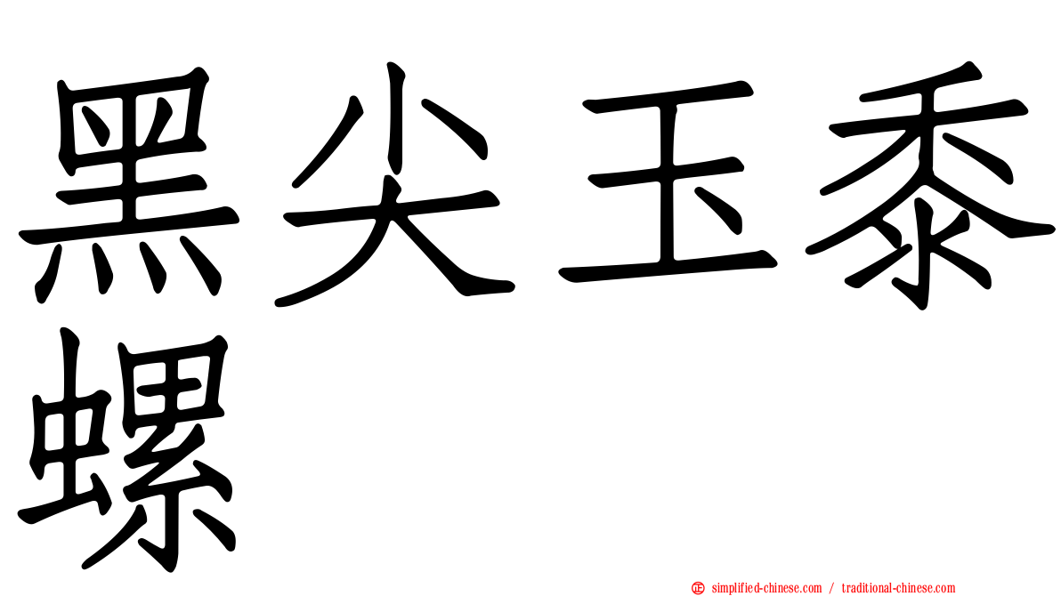 黑尖玉黍螺