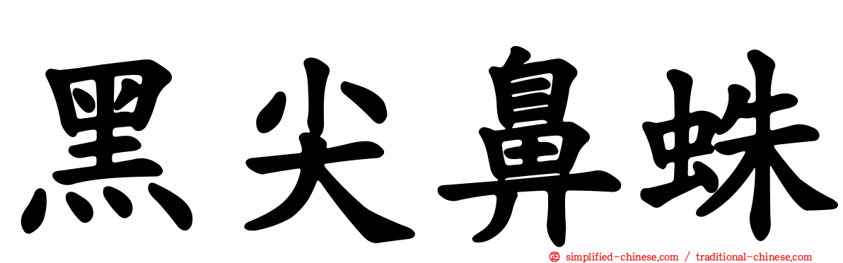 黑尖鼻蛛
