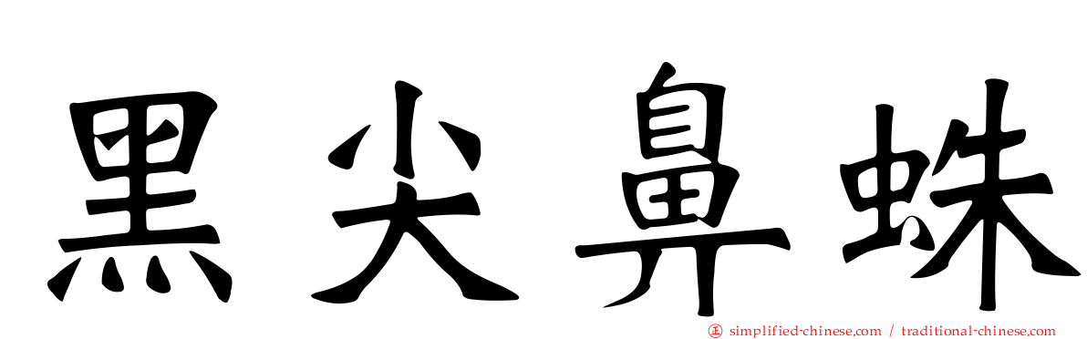 黑尖鼻蛛