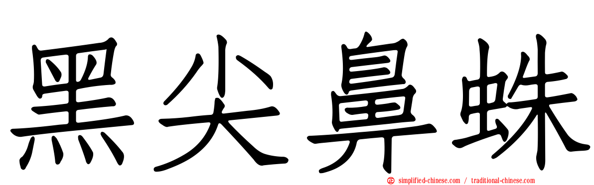 黑尖鼻蛛