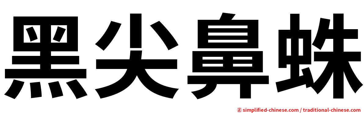 黑尖鼻蛛