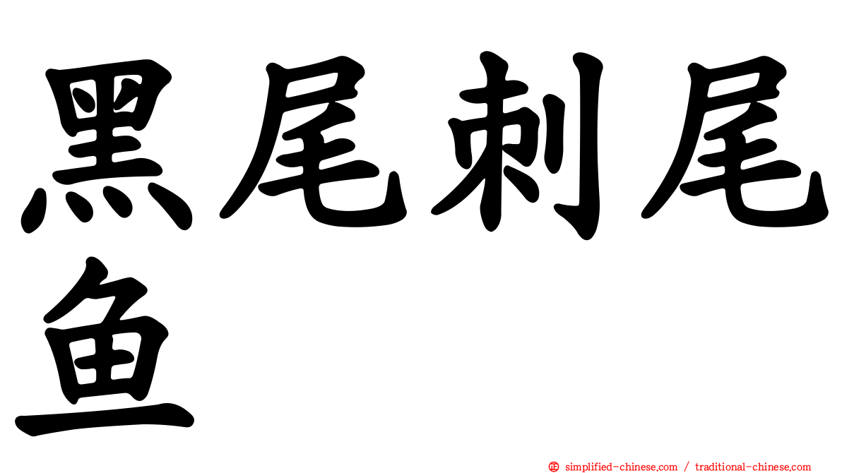 黑尾刺尾鱼