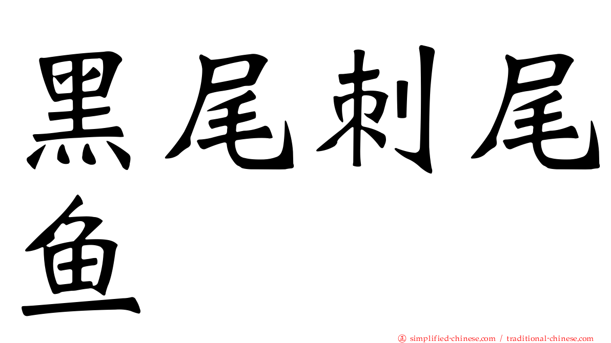 黑尾刺尾鱼