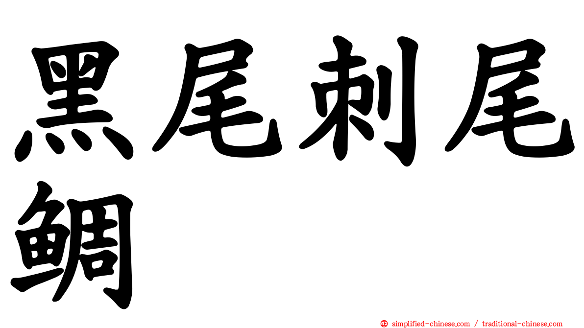 黑尾刺尾鲷