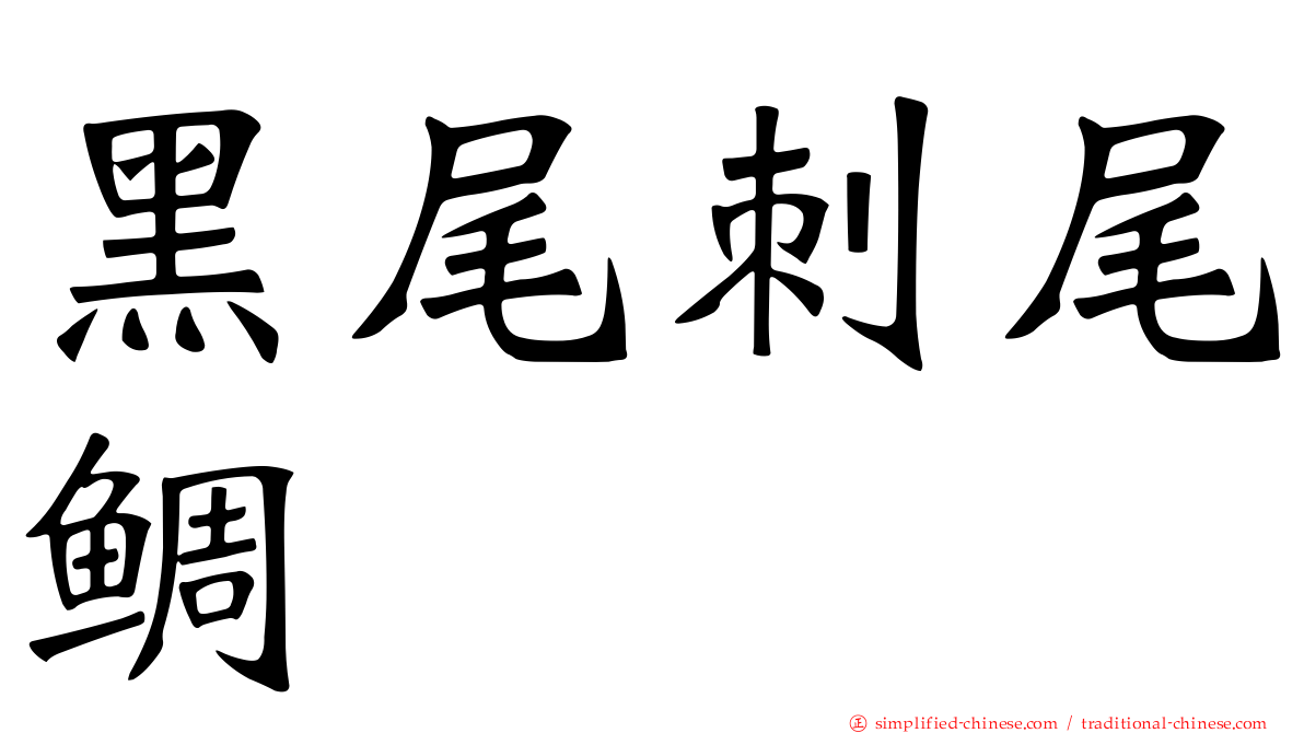 黑尾刺尾鲷