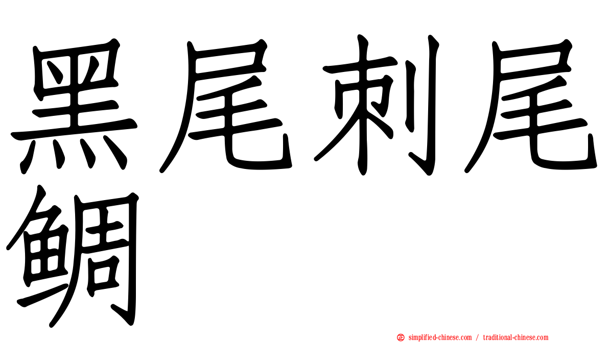 黑尾刺尾鲷