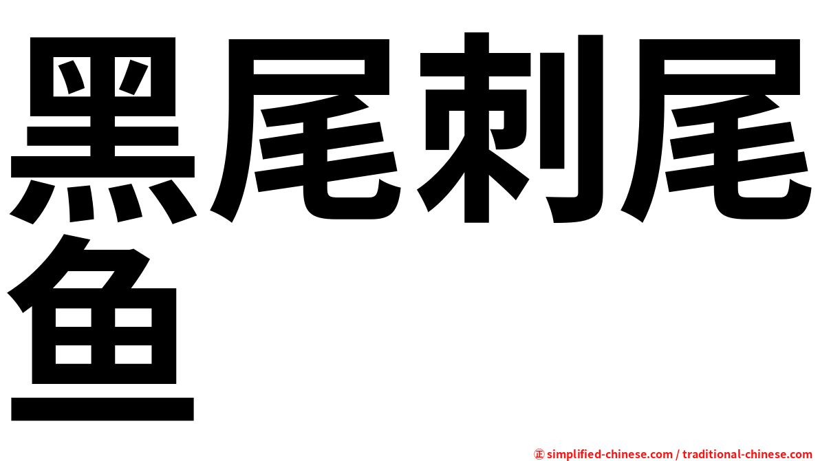 黑尾刺尾鱼