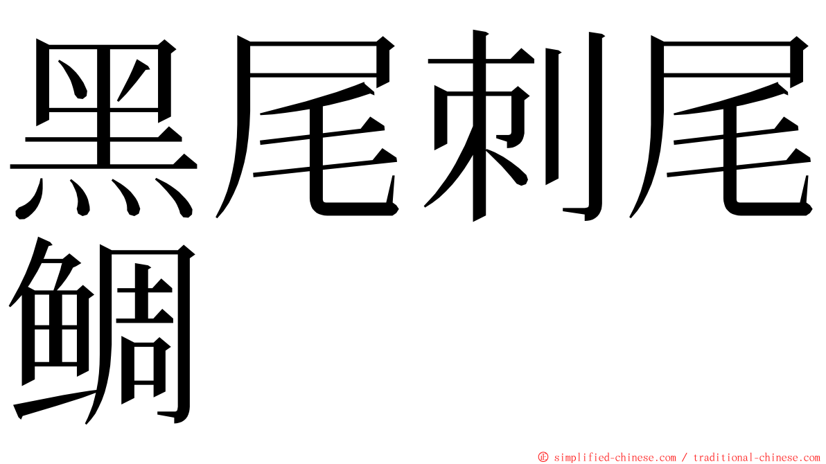 黑尾刺尾鲷 ming font