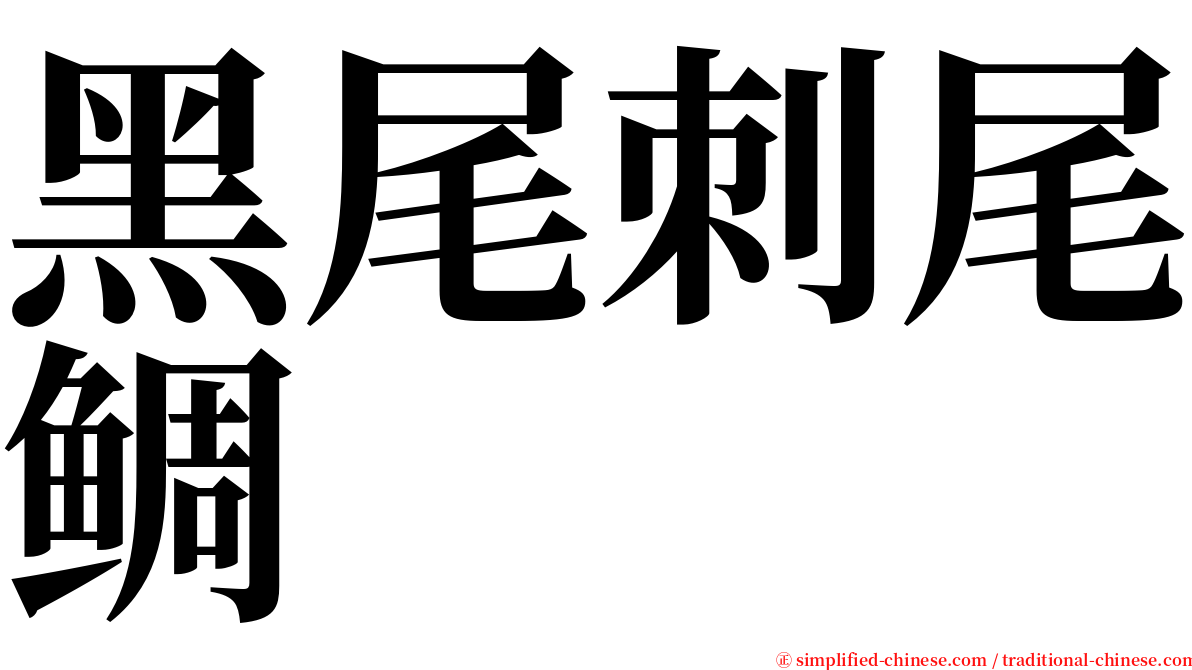 黑尾刺尾鲷 serif font
