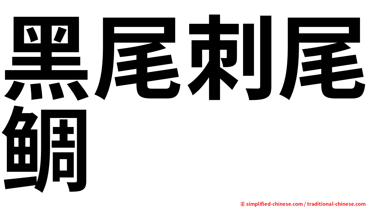 黑尾刺尾鲷
