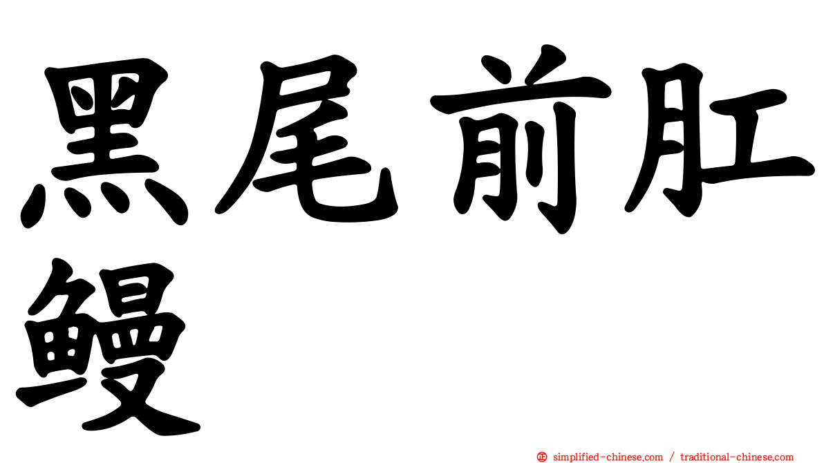 黑尾前肛鳗